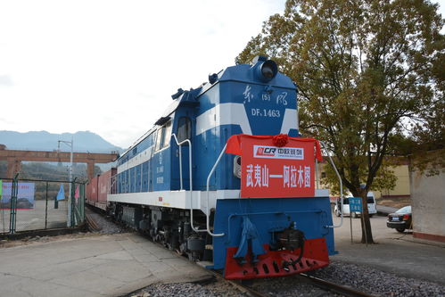 全球復蘇前景仍不確定，中國經濟穩定器作用凸顯——以道路貨物運輸為觀察視角